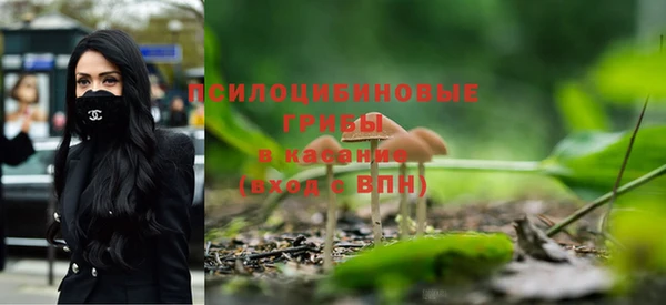 a pvp Абаза