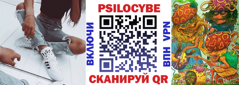 Галлюциногенные грибы Psilocybe  даркнет сайт  Шиханы 
